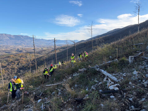 Alpe Panon ESG 204 2025