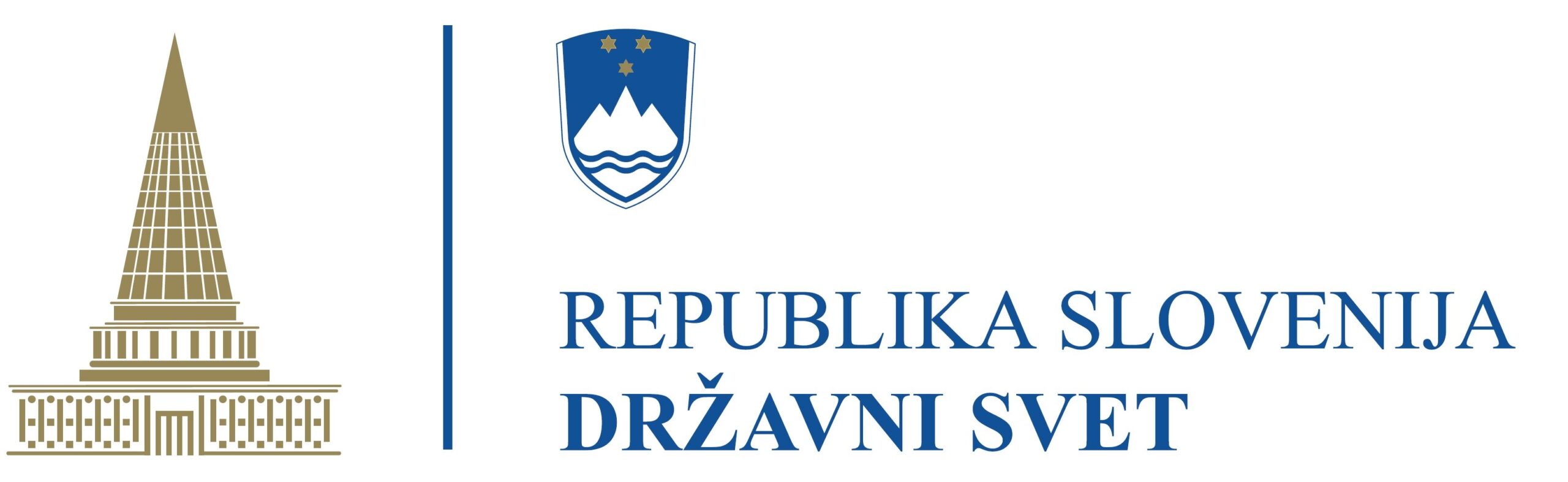 DSRS Logo novo 2 scaled