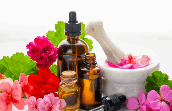 Posnetek zaslona 2025 12 16 143101