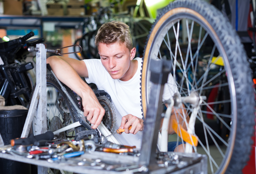 Ustrezno usposobljen kader se stara, sistemskih programov za ohranjanje in prenos veščin je premalo, mreže serviserjev so razdrobljene, manjši obrtniki pa pogosto niso dovolj vidni, zato jih potrošniki težko najdejo.
