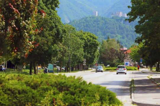 Mestna občina Celje ureja območja ob Savinji, ki povezuje rekreacijske poti, protipoplavne ukrepe in zelene površine za druženje. Velik poudarek dajejo ureditvi otroških in večgeneracijskih igrišč, kjer so zelene površine povezane s športnimi in družabnimi funkcijami. Pomemben primer dobre prakse na mednarodni ravni je projekt UrbanGreenLeap, ki povezuje evropska mesta v iskanju naravnih rešitev za bolj zeleno in podnebno odporno prihodnost. V sklopu projekta razvijajo pilotne projekte za zmanjševanje vročinskih otokov, izboljšanje kakovosti zraka in krepitev biodiverzitete.