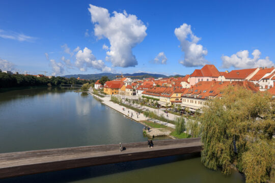 V Mestni občini Maribor so v okviru projekta Ready4Heat izvedli na naravi temelječo rešitev za senčenje igrišč v vrtcih in postavili lesene pergole v vrtcih s sadikami trte in kivija za naravno senčenje igrišča, ki daje prijetno senco v poletnih mesecih in jeseni sadje. S tem prispevajo k biodiverziteti v mestnem središču. Postali so eno izmed 210 svetovnih mest dreves, prepoznanih po vestni skrbi za mestno drevje (Tree Cities of the World).