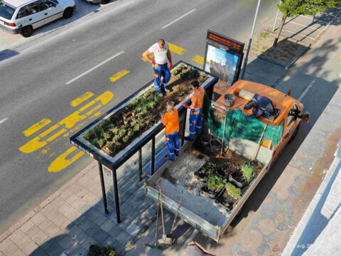 V Mariboru testirajo pilotno rešitev s pomočjo na naravi temelječih rešitev – ozelenjujejo avtobusne nadstrešnice na posameznih lokacijah. Urejena postajališča javnega potniškega prometa pomembno prispevajo k udobju potnikov, povečanju zelenih površin v mestu in k lepši podobi mesta. Z navedenimi aktivnostmi za ozelenitev urbanega okolja pripomorejo k izboljševanju mikroklimatskih razmer na posameznih mikrolokacijah v središču mesta. (foto: Mestna občina Maribor)