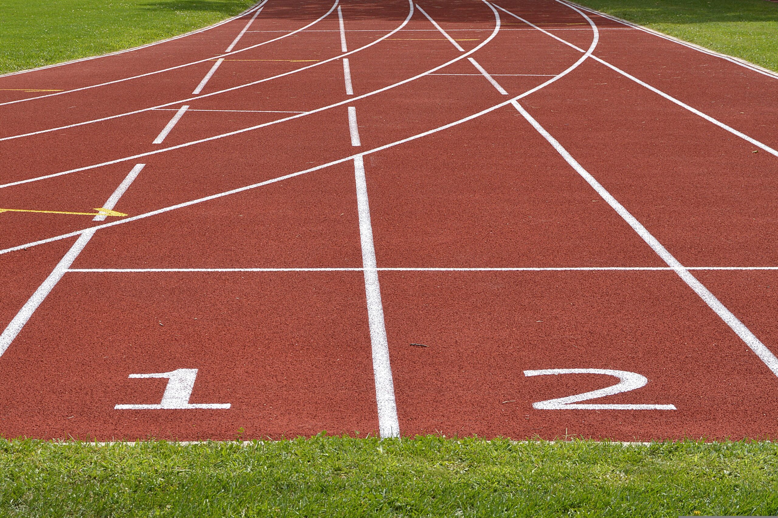 anncapictures tartan track 2678544 scaled