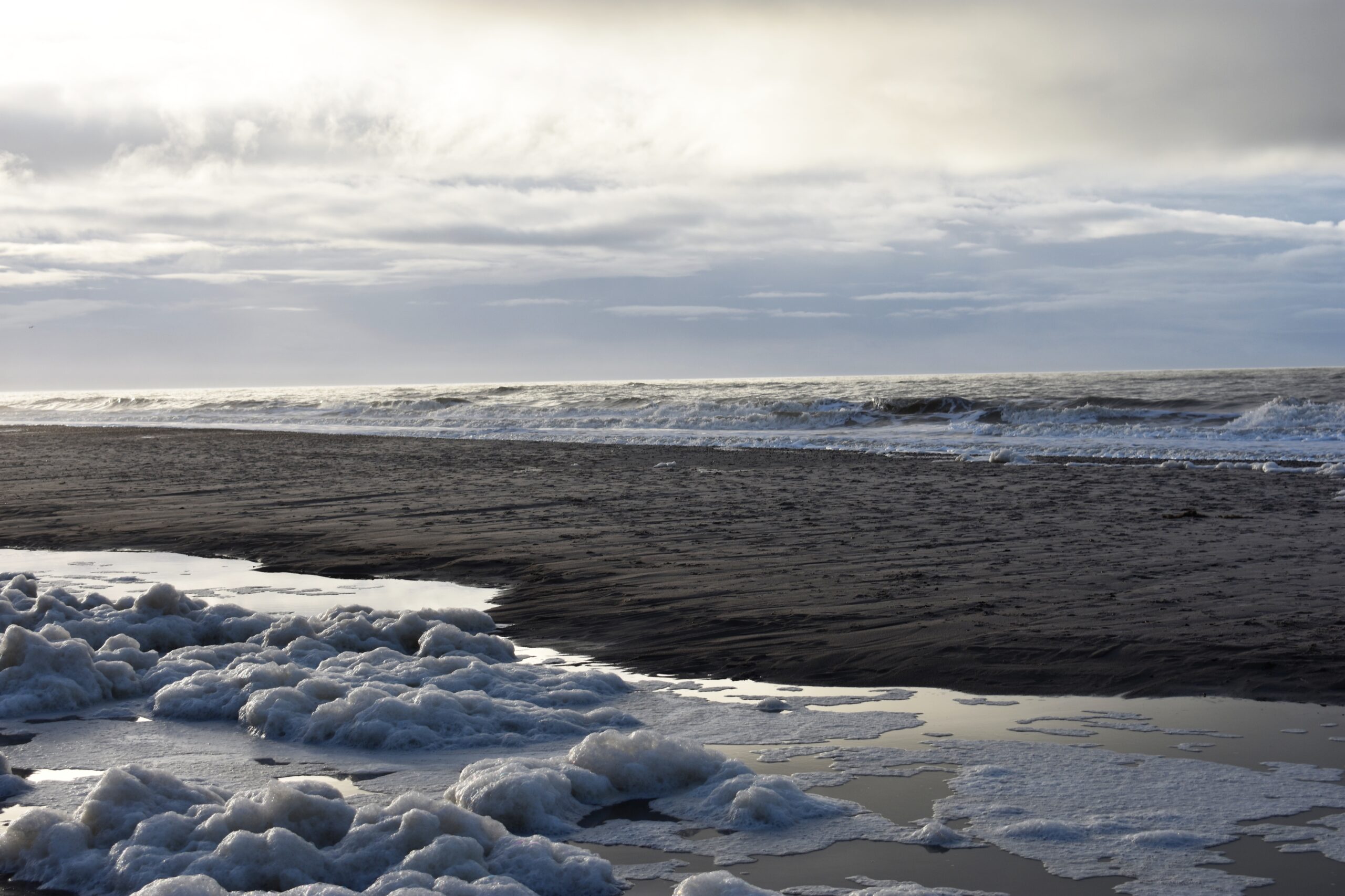 goykova74 danemark 4544149 scaled