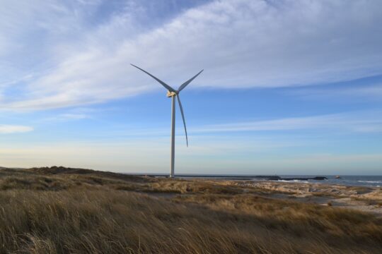 mads1982 wind 4059264