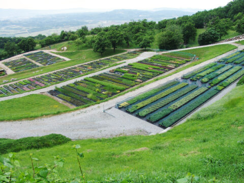 Trajnice Golob Klancic ESG 208