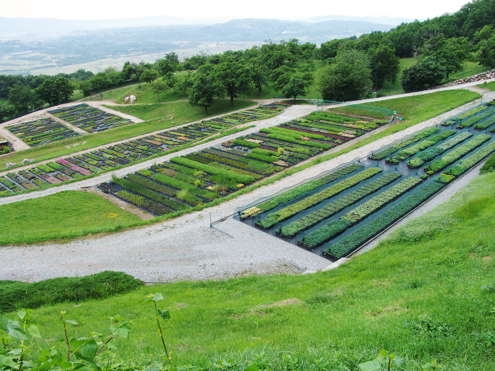 Trajnice Golob Klancic ESG 208