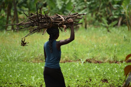 pexels angura gabriel 1402895871 26493502