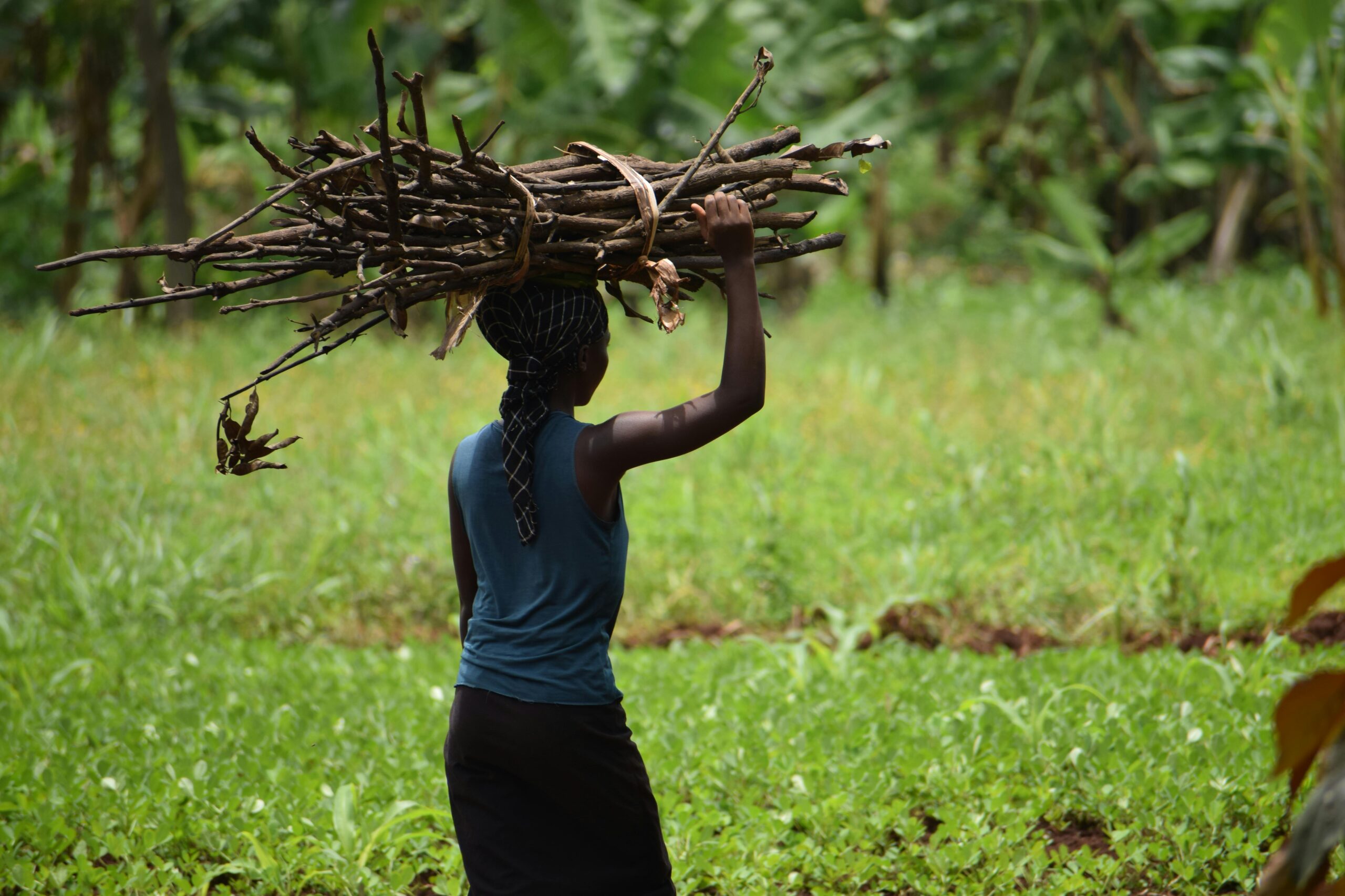 pexels angura gabriel 1402895871 26493502 scaled