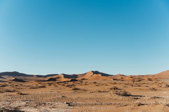 pexels edotommo99 32459103