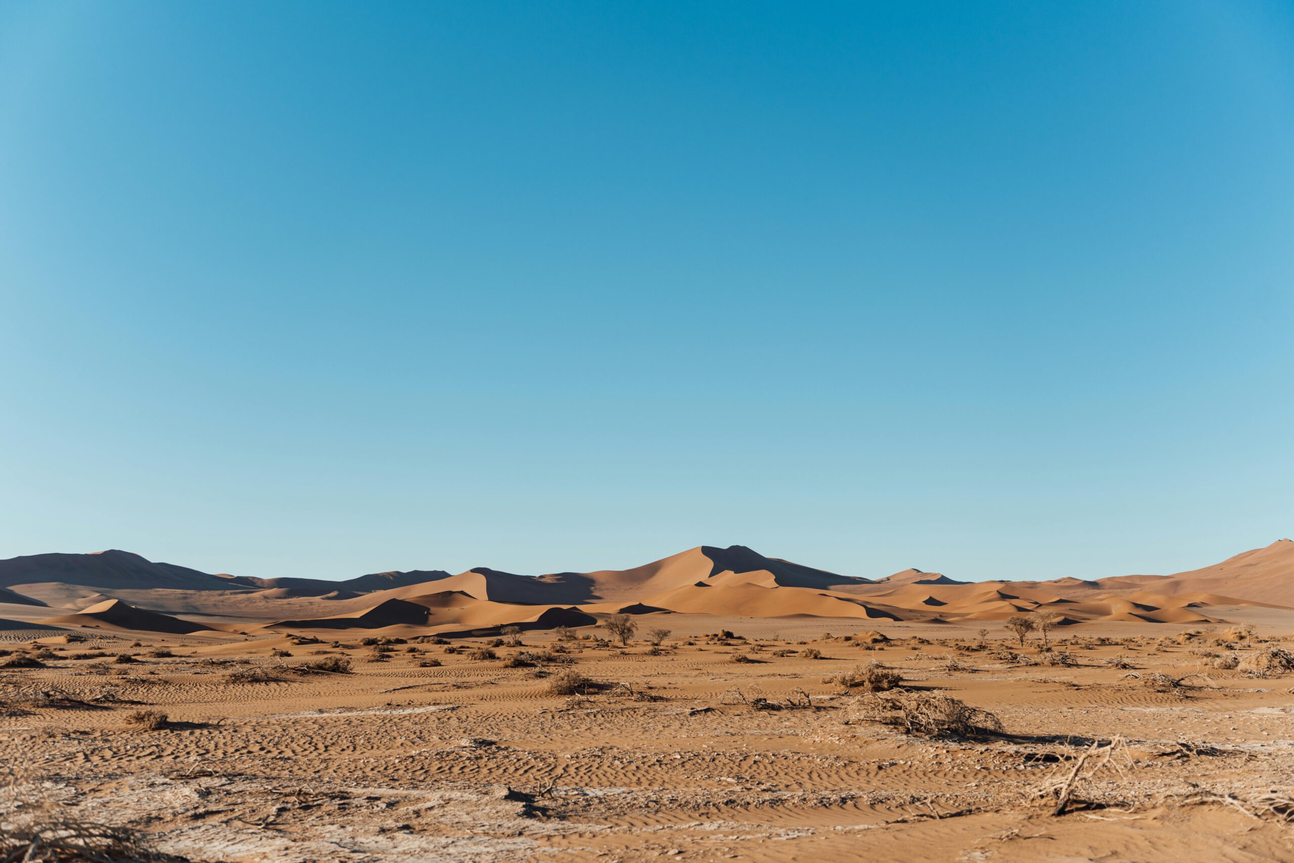 pexels edotommo99 32459103 scaled