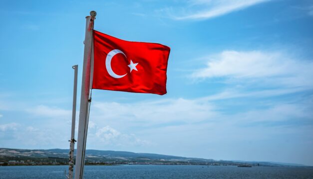 pexels fromsalih 9556542