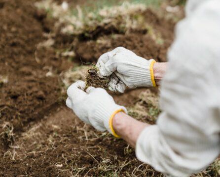 pexels greta hoffman 7728058