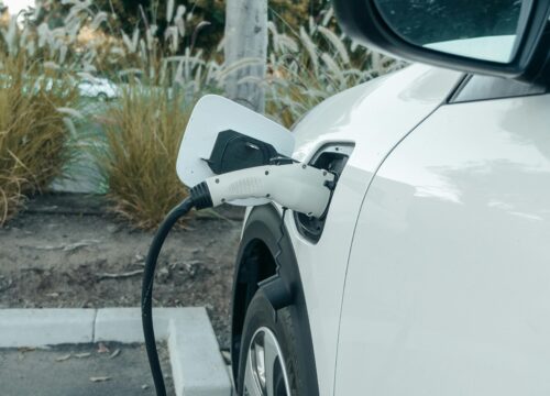 pexels kindelmedia 9799991