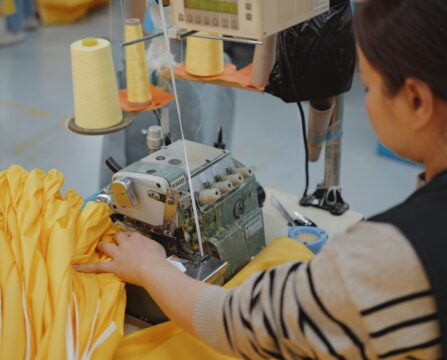 pexels little forest 2150377525 31591496