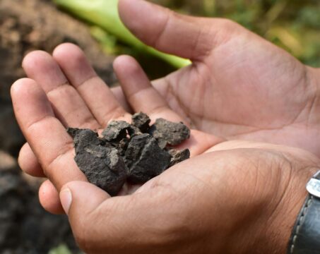 pexels parijb 18216029