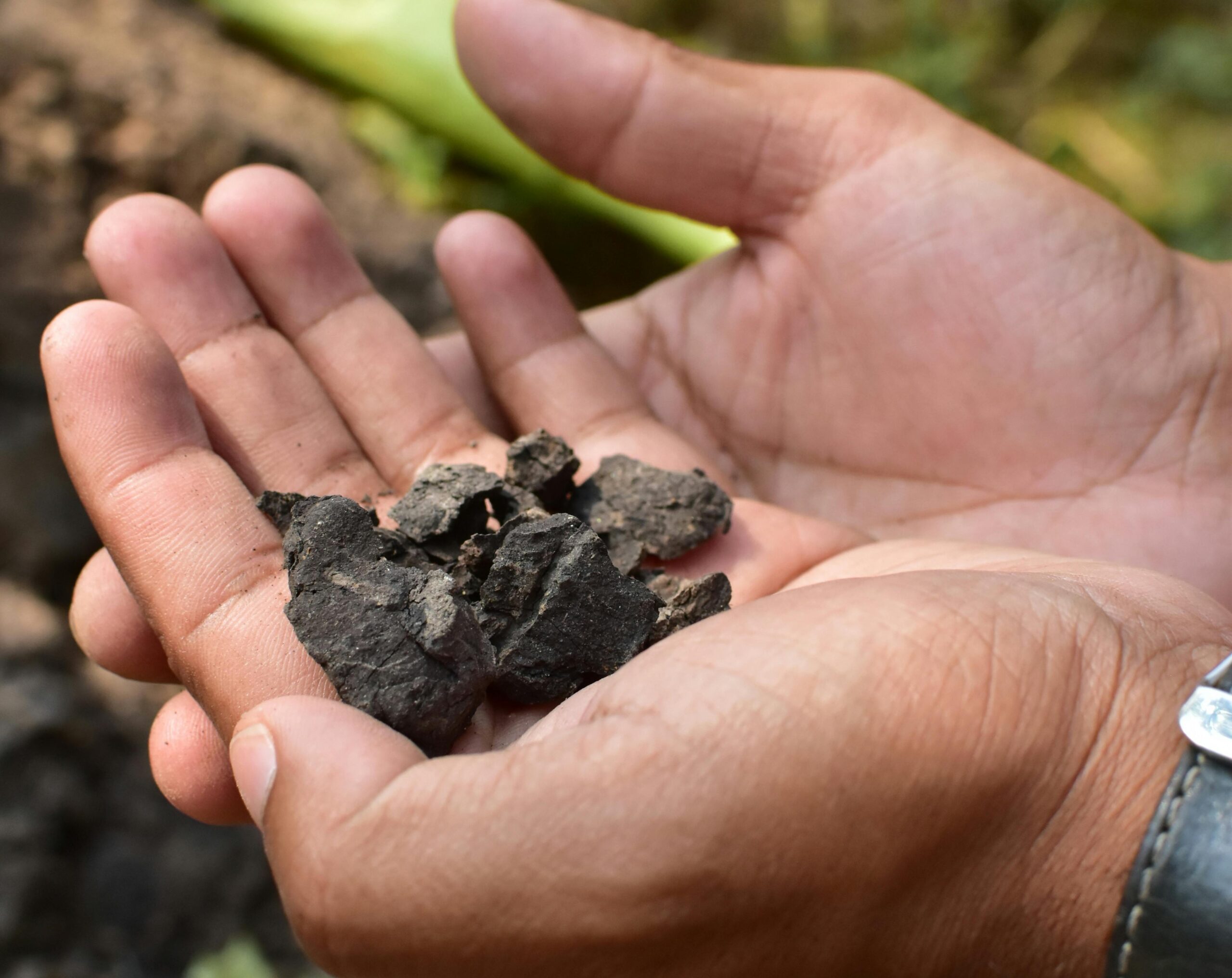 pexels parijb 18216029 scaled