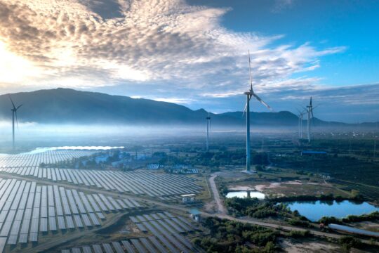 pexels quang nguyen vinh 222549 35105428