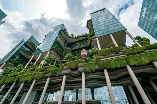 pexels realcereal 15480402