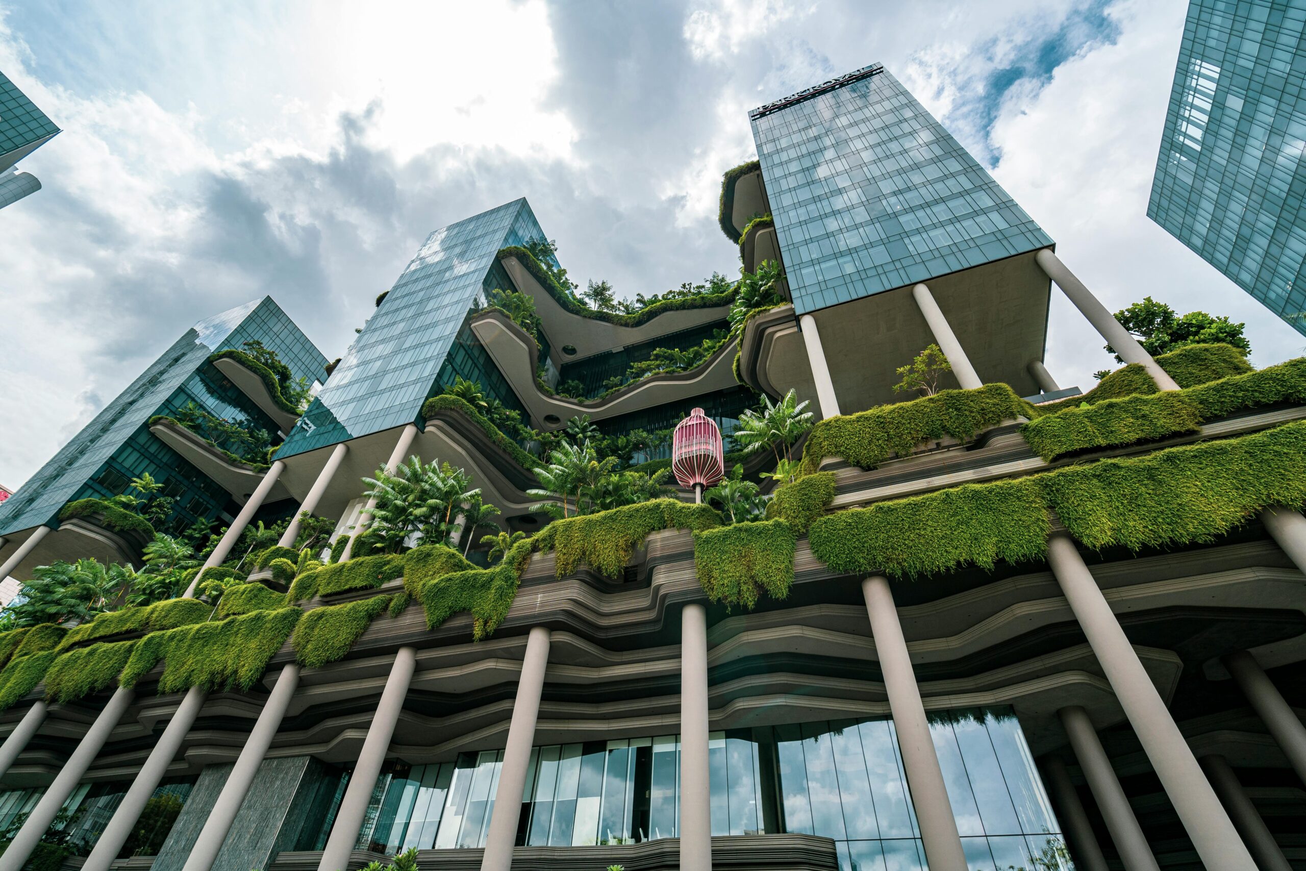 pexels realcereal 15480402 scaled