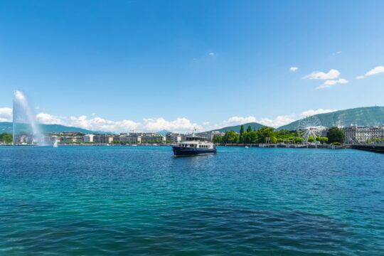 pexels ryank 32980055