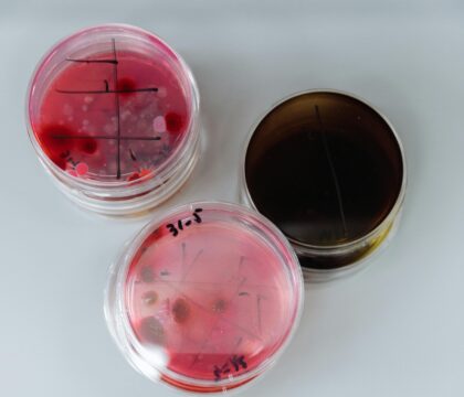 pexels thirdman 8940346