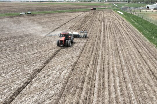 pexels tomfisk 12519287