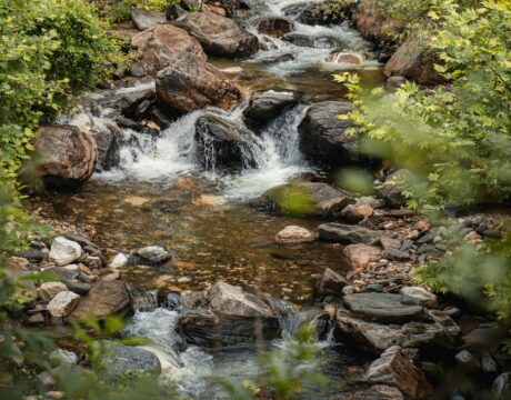 pexels yasin onus 520099596 26189747