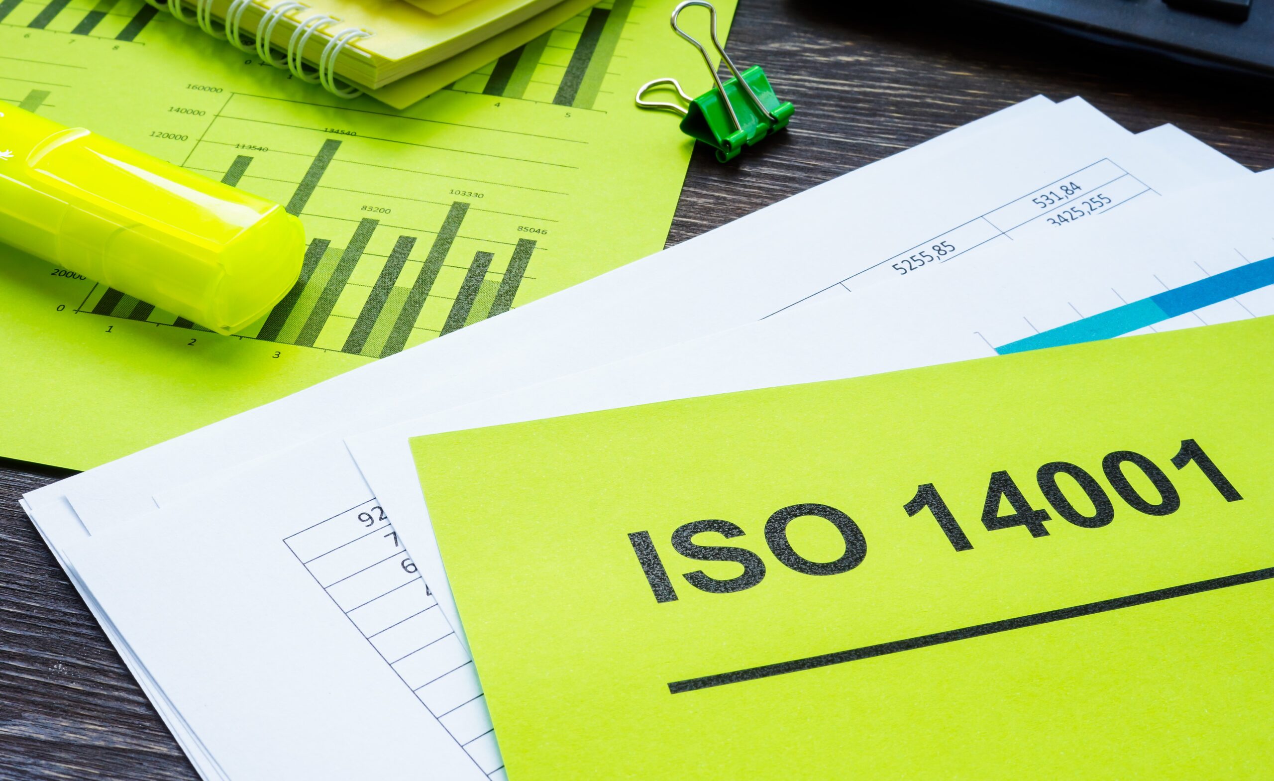 Spremembe standarda ISO14001 - naslovna1