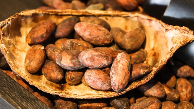 allybally4b cacao 3995994