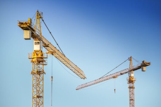 analogicus cranes 3703469