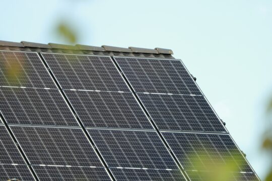 caniceus photovoltaic 6239423