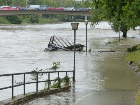 hans flood 123219