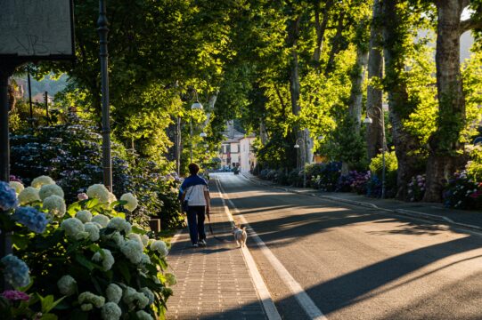 martinophuc street 7281553