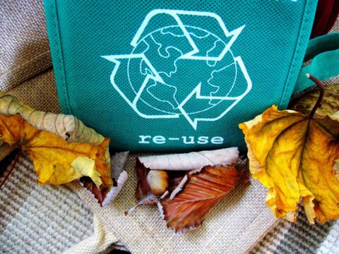 shirley810 recycle 57136