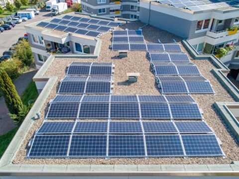 solarimo solar 4824604