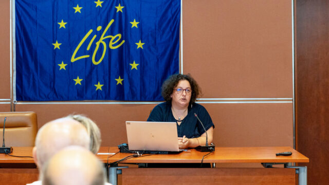 Dr. Alenka Mauko Pranjic ZAG
