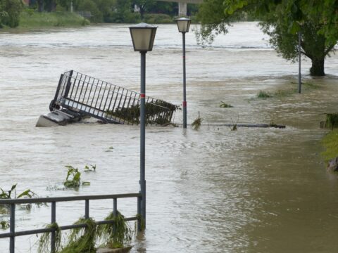 hans flood 123220
