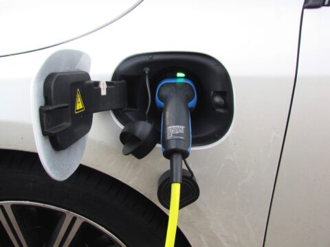 joenomias plug in 2783574