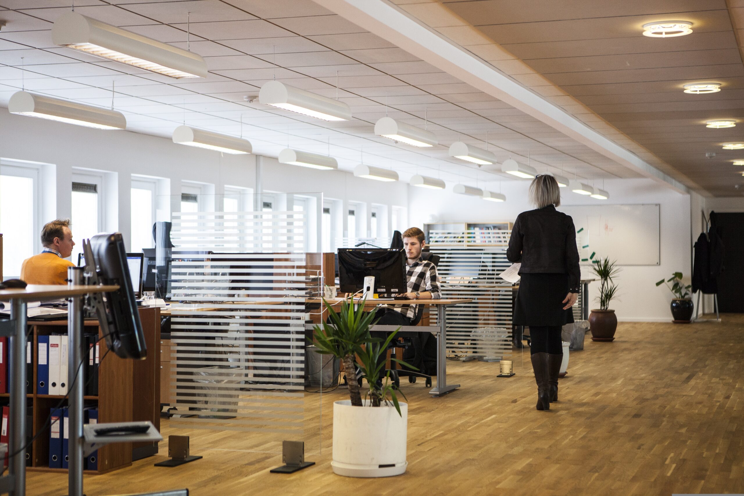 louisehoffmann83 office 2360063 scaled