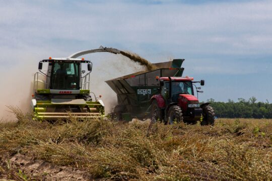 pexels nc farm bureau mark 2257304