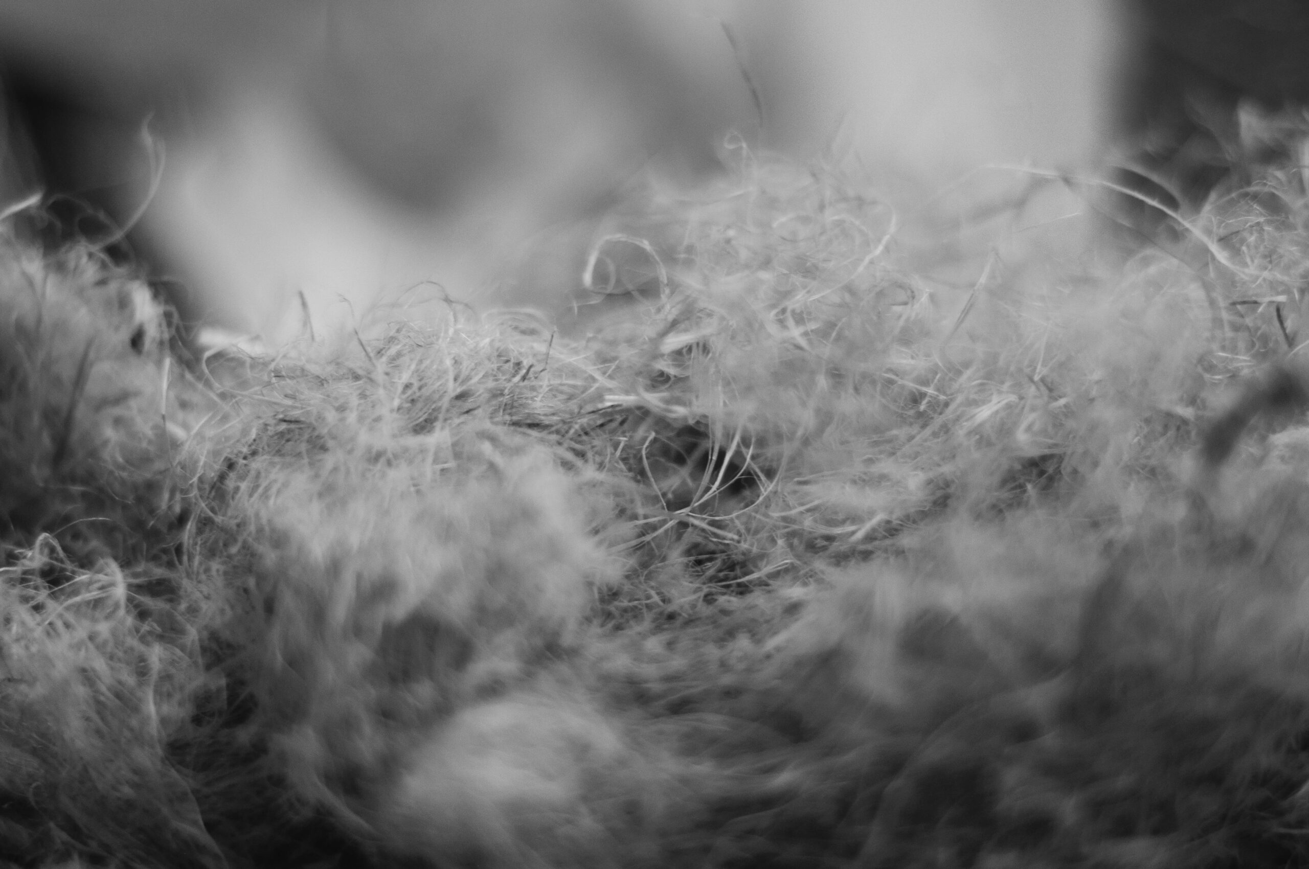 thierryquertemont fiber 6924845 scaled