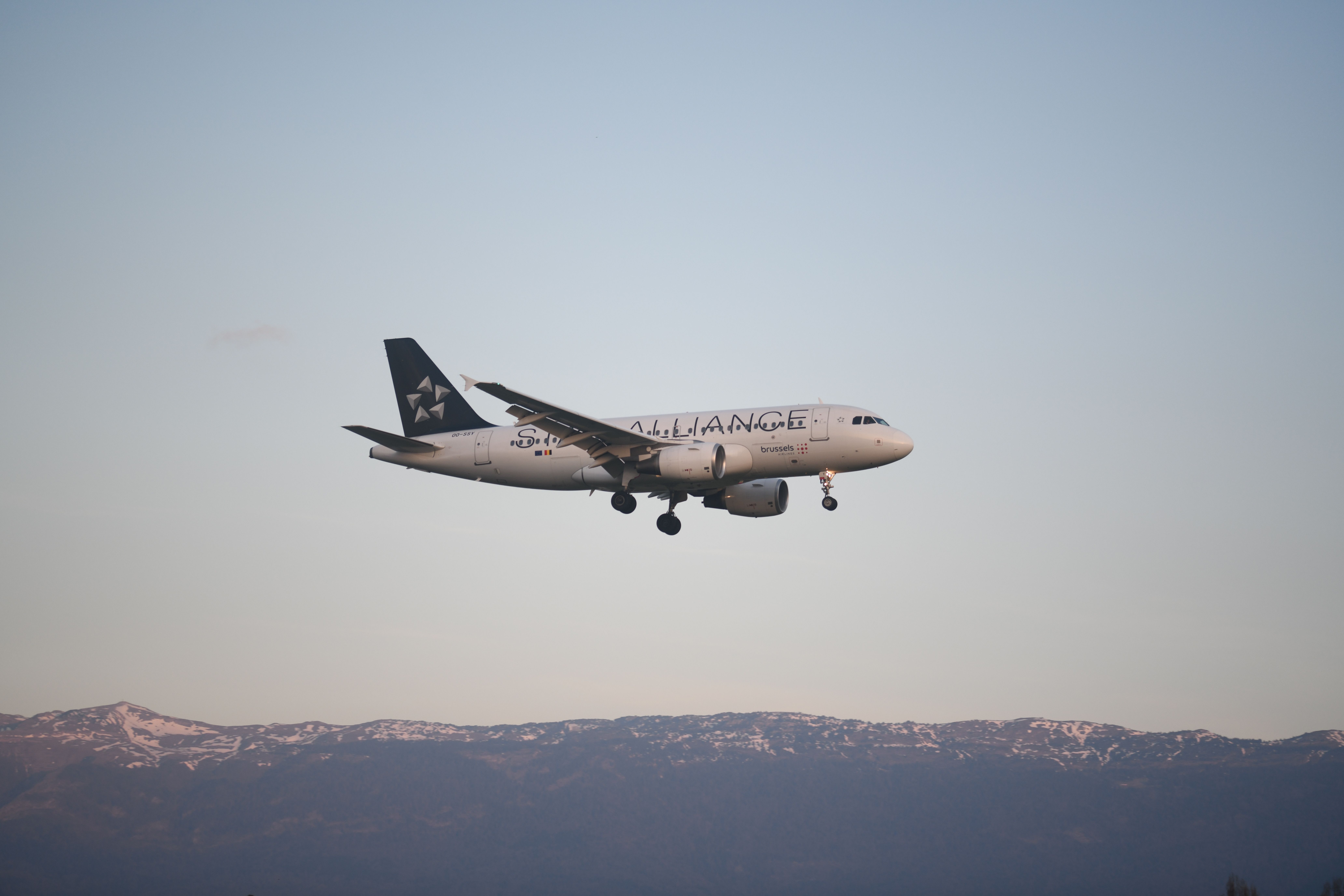 pexels planespotter geneva 1877406873 31403077