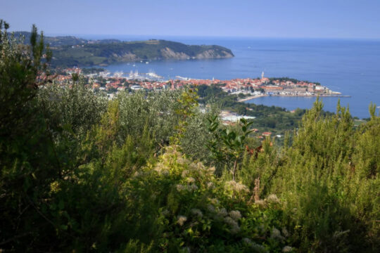 ZRS Koper ESG 213