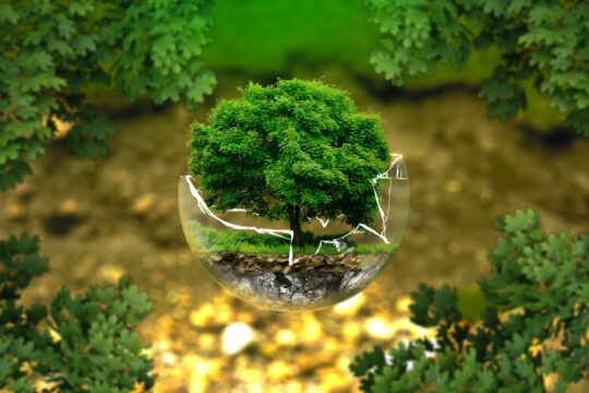 andreasaux environmental protection 326923