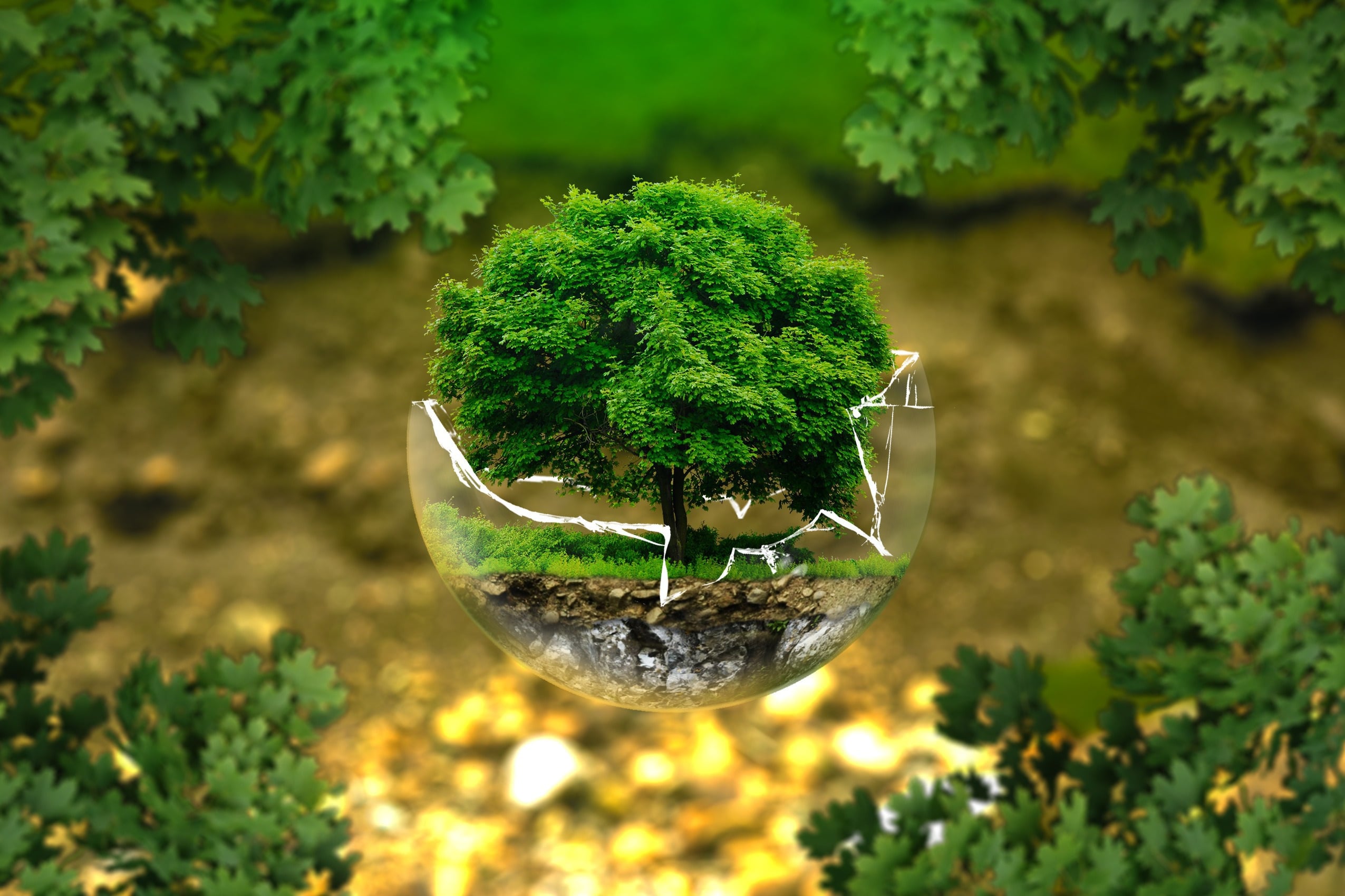 andreasaux environmental protection 326923