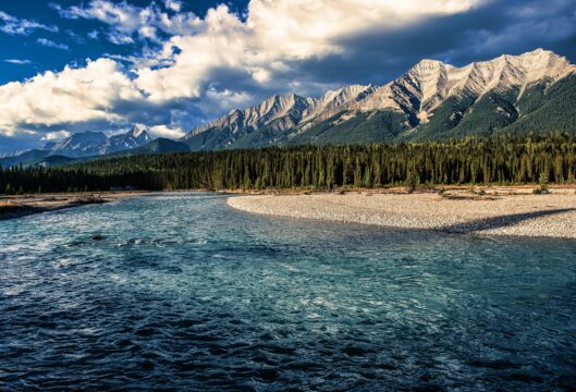 gpoulsen bow river 6888321